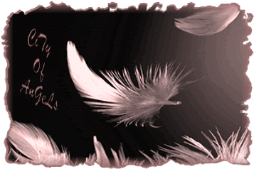 Plume . . .